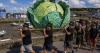 Animal welfare group's call to replace fish celebration festival with cabbage fiesta