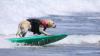Cool pups catch waves at California world event