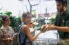 The Green Planet, Dubai Butterfly Garden boost summer tourism