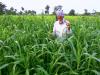 Business News | Every Rs 1 Invested Under KCC Interest Subsidy Scheme Generates Rs 2.30 in Agricultural Value: Govt