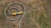 How to legally water your garden during a hosepipe ban in the UK