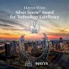 Hayya wins silver in Stevie Awards for technology excellence in government innovation