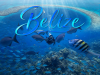 DIVEVOLK Unlocks vivo X Fold6 Underwater Imaging in Li Zitao’s Belize Film