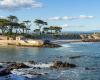 Single shark bite led to death of woman whose body was found on California beach, autopsy shows