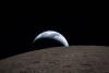 'A Preemptive Shield': Scientists Propose Moon Quarantine to Block Alien Species Contamination