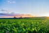 EU allocates €20 million in state aid to Friuli Venezia Giulia to help offset the high cost of fuel and fertilisers