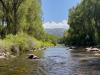 Fishing closures are becoming routine in Colorado, throughout the West as record heat warms rivers