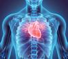 <![CDATA[Adagio Medical treats first patient with next-generation VT ablation catheter under FDA expanded access]]>