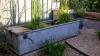 A Micropond Is The Tiny Garden Trend That Brings Wildlife to You – and It's Surprisingly Easy to Create at Home