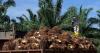 Sabah’s 2025 trade hits RM105.5bil