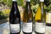Richard Esling On the Grapevine : Joseph Mellot – five centuries of Loire excellence