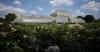 London records first dry month in 150 years