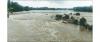 Dhanushkoti Falls draw tourists, cheer farmers
