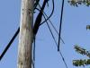 Internet and cell service restored after another cable theft attempt