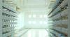 The Rising Challenge of Moratoriums on Data Center Construction and Industry Adaptation