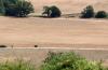 England, Wales had driest July on record: Met Office