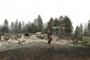 600 Buildings Burn, 60,000 People Evacuate in Horrific Natural Disaster in Washington