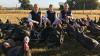 Essex farm ends Christmas turkey production due to poultry infection