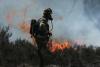 Large forest fire breaks out in the Netherlands
