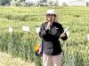 UI researcher makes discovery that could help boost wheat yields