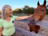 After Jamaica Bay Riding Academy closes, rescued horses find new homes