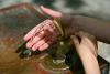 Drinking Water in Budapest Stable - No Restrictions Planned, Says Mayor