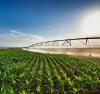 ARDA’s models to increase wheat production applauded