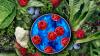 Florida Reports 66 New Cyclosporiasis Cases as Infections Slow