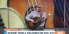 Local country singer Jason White returns to music after 13-year break