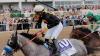 Kentucky Derby and Belmont Stakes to be part of new Thoroughbred Championship Series. Missing: the Preakness.