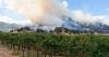 European wildfires highlight growing climate change threat to global wine production