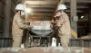 Cement producers sustain growth as construction demand holds firm