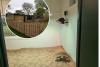 Smuggled tortoises move into new 'shipping container' pad of luxury at Blackpool Zoo