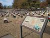 Remains of U.S. Army Tec5 William Keele returning to Greenwood; burial set for Aug. 7 in Fort Smith National Cemetery