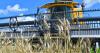 Will County forest preserve marks milestone with first harvested organic wheat crop