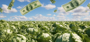 Publisher's Platform: Food safety is not expensive. Outbreaks are expensive.