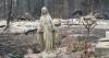 Spokane wildfires forces 60,000 to evacuate