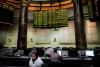 Egypt's Beltone VC Posts 80% IRR on BirdNest Deal, Outpacing US Benchmarks