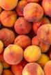 Recall on 10 Million Lbs. of Peaches Gets Important FDA Update
