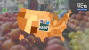 Number of SNAP benefit recipients fall in nearly every state in the US