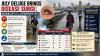 Mumbai Monsoon: Malaria Cases Jump 111 Per Cent, Leptospirosis Surges 136 Pc In July, BMC Intensifies Disease Control