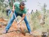 Ethiopia Plants over 805 Million Seedlings in Single Day