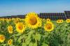 RWE and Google Sign Power Purchase Agreement for Oklahoma Solar Project