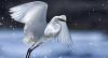 Caribbean photo contest returns with more than US$3,000 in prizes