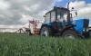 Agricultural panic or opportunity in the EU? Ukraine’s next battle is going to be grain – EU Neighbours East