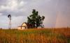Financial Health of Regional Rural Banks Improves