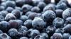 Publix recalls frozen berries sold in eight states, including Kentucky