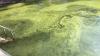 Harmful algal blooms reported in Canandaigua Lake. What to know