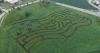 Clearview Farms sunflower maze to celebrate America's 250th anniversary