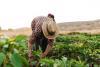New Campaign Connects Colorado Farmers With Families Facing Hunger